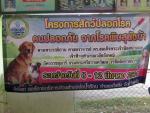โครงการสัตว์ปลอดโรค คนปลอดภัย จากโรคพิษสุนัขบ้า 2564