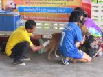 โครงการป้องกันและควบคุมโรคพิษสุนัขบ้า