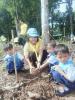 กิจกรรมปลูกต้นไม้ประจำปีของชาติ ประจำปี พ.ศ. 2566
